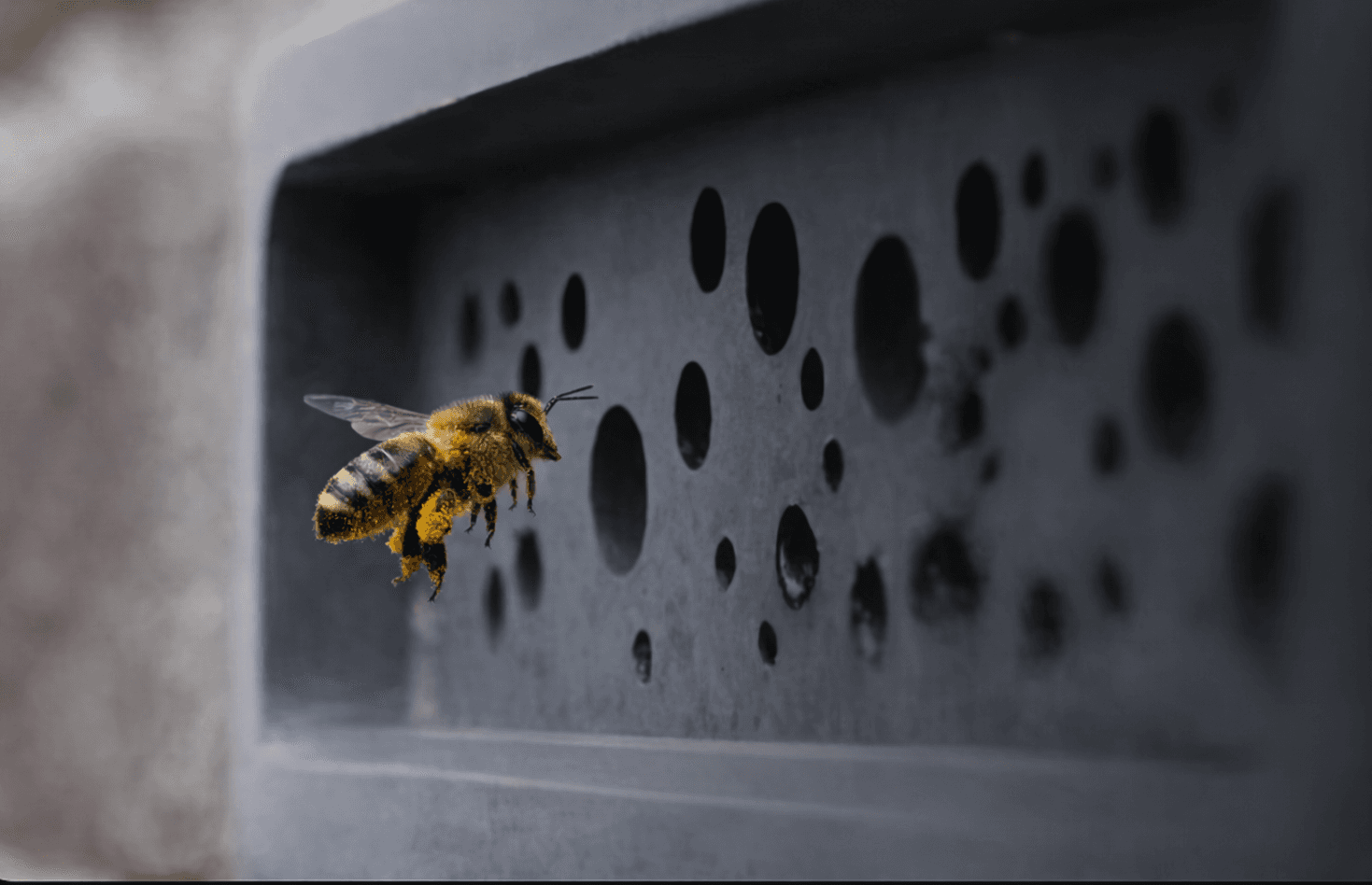 Bee Bricks